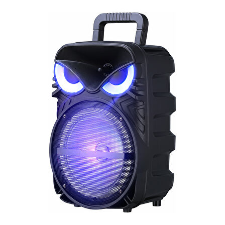 RGB Işıklı Parti Karaoke Hoparlör Bluetooth, 8 İnç Güçlü Bas, Mikrofonlu, FM Radyo ve TWS Stereo Ses