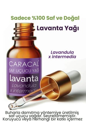 Caracal Lavanta Uçucu Yağı 10ml  Lavanta Yağı