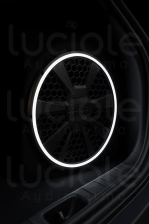 30cm Rgb Neon Hoparlör Kapağı – Renkli Işık Efektli, Subwoofer Uyumlu, 9116 Rf Kumandalı Led