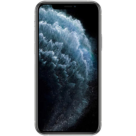 Yenilenmiş iPhone 11 Pro Max 256 GB Uzay Grisi Cep Telefonu (12 Ay Garantili) - B Kalite