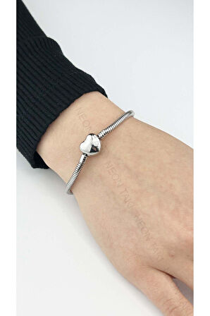 Charm Taşıyıcı, Paslanmaz Çelik, Pan Bileklik 139, Kalp Klipsli, 19cm, Gümüş renk