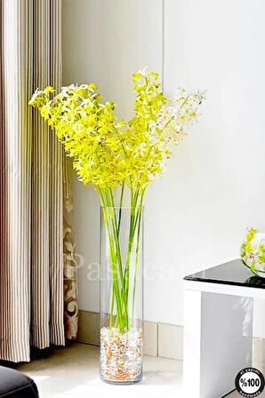 Delizli El Imalati 50 Cm - El Işciliği Silindir Vazo Cam Ps50 Kalın Taban