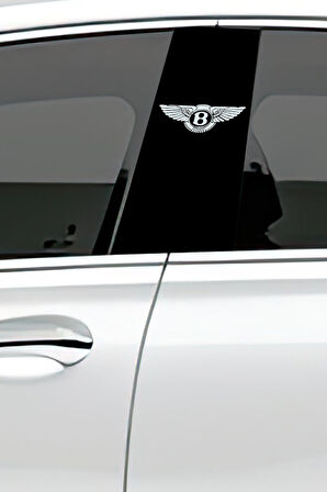 Araç Kapı Direk Kaplama Folyosu Desenli (Sağ Sol Takım) (2 Adet) - 22x50 Cm