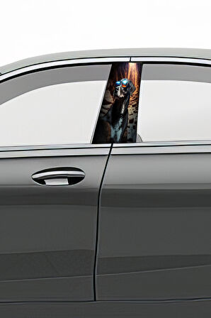 Araç Kapı Direk Kaplama Folyosu Desenli (Sağ Sol Takım) (2 Adet) - 22x50 Cm