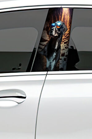 Araç Kapı Direk Kaplama Folyosu Desenli (Sağ Sol Takım) (2 Adet) - 22x50 Cm