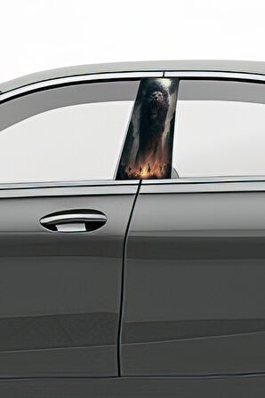 Araç Kapı Direk Kaplama Folyosu Desenli (Sağ Sol Takım) (2 Adet) - 22x50 Cm