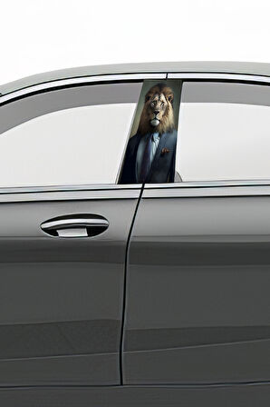 Araç Kapı Direk Kaplama Folyosu Desenli (Sağ Sol Takım) (2 Adet) - 22x50 Cm