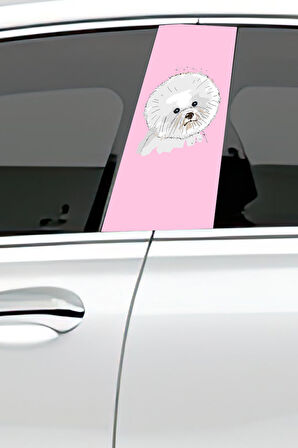 Araç Kapı Direk Kaplama Folyosu Desenli (Sağ Sol Takım) (2 Adet) - 22x50 Cm