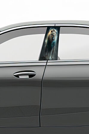 Araç Kapı Direk Kaplama Folyosu Desenli (Sağ Sol Takım) (2 Adet) - 22x50 Cm