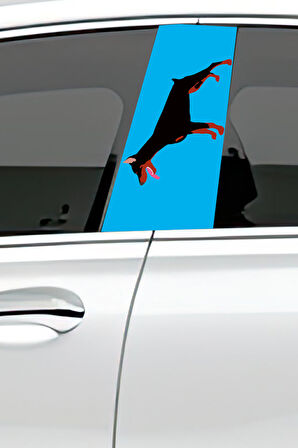 Araç Kapı Direk Kaplama Folyosu Desenli  Sağ Sol Takım 2 Adet  22x50 cm