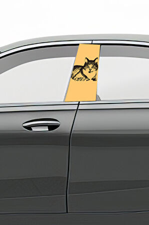 Araç Kapı Direk Kaplama Folyosu Desenli (Sağ Sol Takım) (2 Adet) - 22x50cm Uyumlu