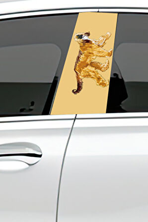 Araç Kapı Direk Kaplama Folyosu Desenli (Sağ Sol Takım) (2 Adet) - 22x50 Cm