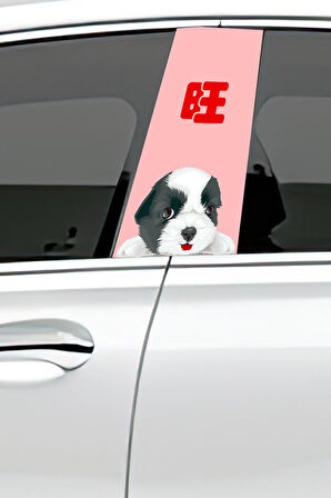 Araç Kapı Direk Kaplama Folyosu Desenli (Sağ Sol Takım) (2 Adet) - 22x50 Cm