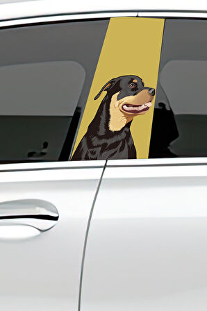 Araç Kapı Direk Kaplama Folyosu Desenli (Sağ Sol Takım) (2 Adet) - 22x50 Cm