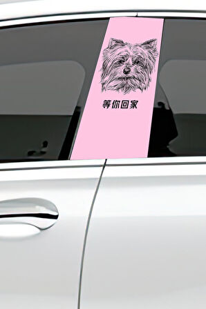 Araç Kapı Direk Kaplama Folyosu Desenli (Sağ Sol Takım) (2 Adet) - 22x50 Cm