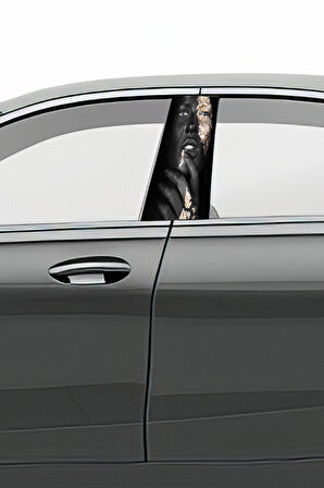 Araç Kapı Direk Kaplama Folyosu Desenli (Sağ Sol Takım) (2 Adet) - 22x50 Cm