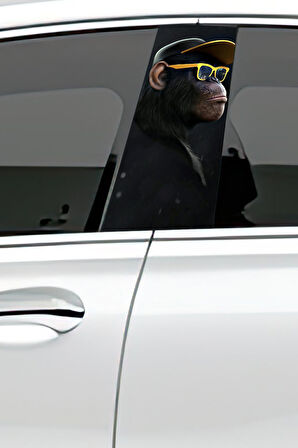 Araç Kapı Direk Kaplama Folyosu Desenli (Sağ Sol Takım) (2 Adet) - 22x50 Cm