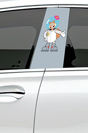 Araç Kapı Direk Kaplama Folyosu Desenli (Sağ Sol Takım) (2 Adet) - 22x50 Cm