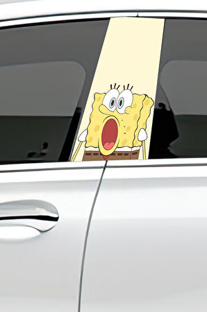 Araç Kapı Direk Kaplama Folyosu Desenli (Sağ Sol Takım) (2 Adet) - 22x50 Cm