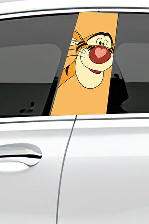 Araç Kapı Direk Kaplama Folyosu Desenli (Sağ Sol Takım) (2 Adet) - 22x50 Cm