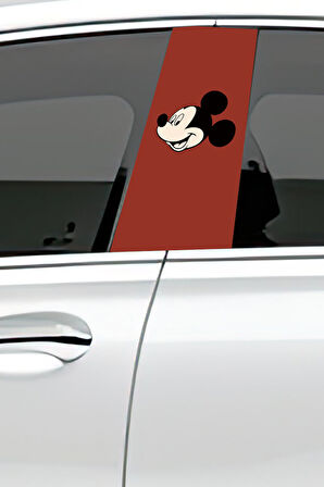 Araç Kapı Direk Kaplama Folyosu Desenli Sağ Sol Takım 2 Adet 22x50 cm