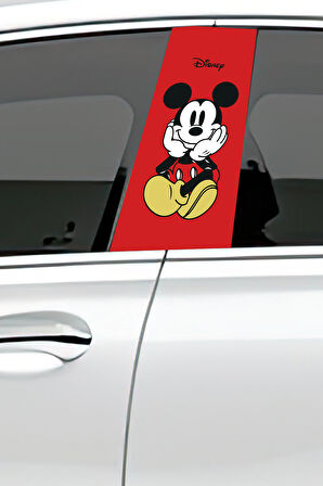 Araç Kapı Direk Kaplama Folyosu Desenli (Sağ Sol Takım) (2 Adet) - 22x50 Cm