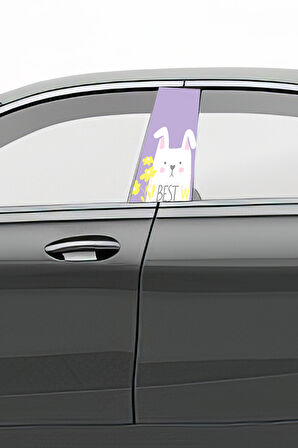 Araç Kapı Direk Kaplama Folyosu Desenli (Sağ Sol Takım) (2 Adet) - 22x50 Cm