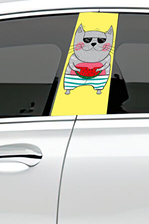 Araç Kapı Direk Kaplama Folyosu Desenli (Sağ Sol Takım) (2 Adet) - 22x50 Cm