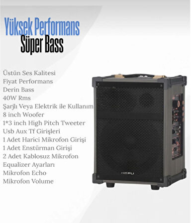 HEPU HP-976 Taşınabilir Party Speaker | 40W Bluetooth Hoparlör | 8" Bass | 2 Kablosuz Mikrofon