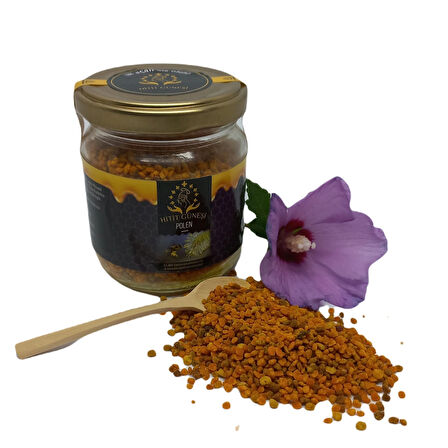 Polen 100 Gr
