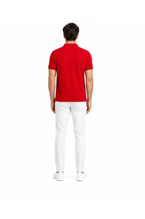 Erkek Regular Fit Polo Yaka Basic Tişört