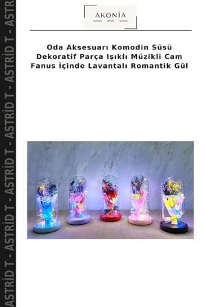 Oda Aksesuarı Komodin Süsü Dekoratif Parça Işıklı Müzikli Cam Fanus İçinde Lavantalı Romantik Gül