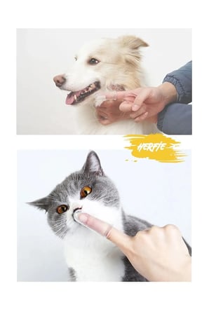 Evcil Hayvan Kedi Köpek Parmak Diş Fırçalama Temizleme Aleti Diş Fırçası