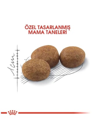 Royal Canin 15 Kg Kısırlaştırılmış Kedi Maması