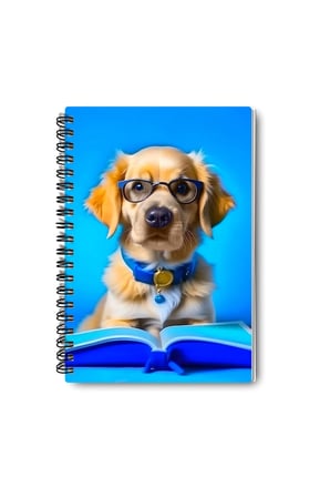 Kitap Okuyan Sevimli Köpekler Tasarım Tel Spiralli A5 Çizgisiz 4'lü Hatıra, Anı, Okul Defter Seti