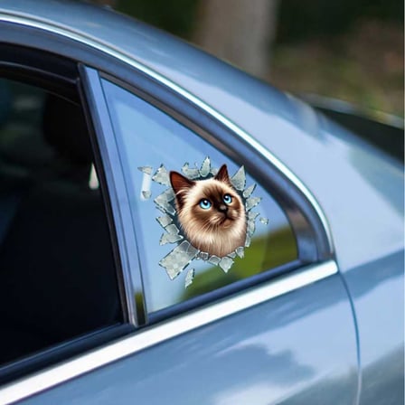 Premium Sürüş Detayı Stüdyo Ürünü İlginç Tasarım Fulcar Siamesse Araç Stickerı