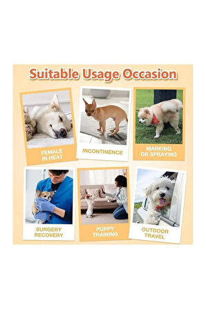 TİNEKE Petsoft Köpek Tuvalet Bezi Kedi Tuvalet Bezi Çiş Bezi X-LARGE 12 Adet
