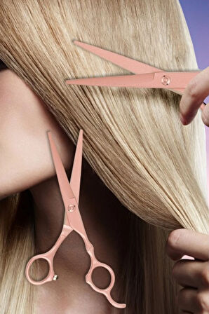 Mat Gül Kurusu Titanyum Saç Kesim Makas Seti | Rose Red Profesyonel Salon Makas Seti XLQ504SET