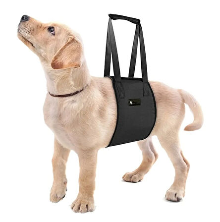Köpek Kaldırma Kayışı Moppa