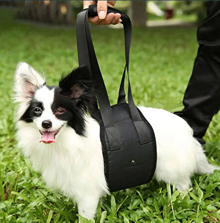 Köpek Kaldırma Kayışı Moppa