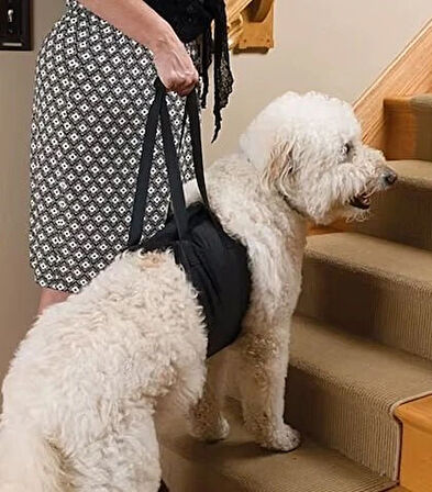 Köpek Kaldırma Kayışı Moppa