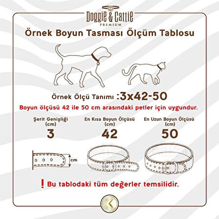 Cattie Boncuklu Deri Küçük Irk Köpek ve Kedi Boyun Tasması Xsmall Siyah 1x12-16 Cm