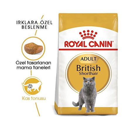 Royal Canin British Shorthair Adult Yetişkin Kedi Maması 4 Kg