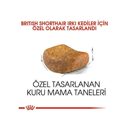 Royal Canin British Shorthair Adult Yetişkin Kedi Maması 4 Kg