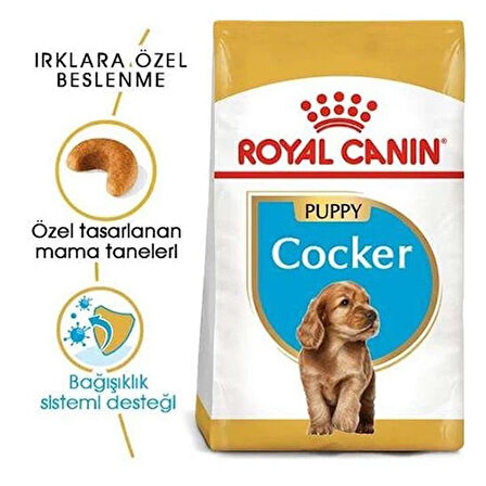 Royal Canin Cocker Junior Yavru Köpek Maması 3 Kg