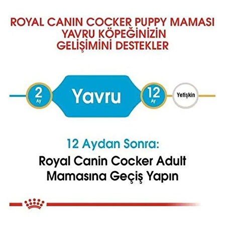 Royal Canin Cocker Junior Yavru Köpek Maması 3 Kg