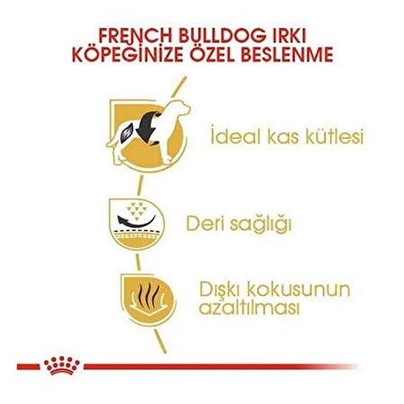 Royal Canin French Bulldog Adult Yetişkin Köpek Maması 3 Kg