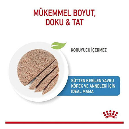 Royal Canin Starter Mousse Yavru Konserve Köpek Maması 195 Gr