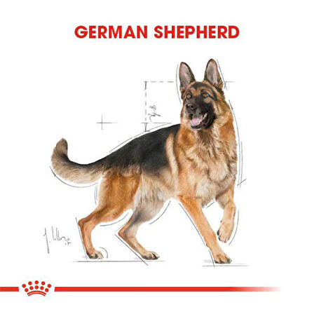 Royal Canin German Shepherd Adult Yetişkin Köpek Maması 11 Kg