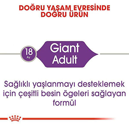 Royal Canin Giant Adult Dev Irk Yetişkin Köpek Maması 15 Kg